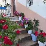 Athena Apartamento