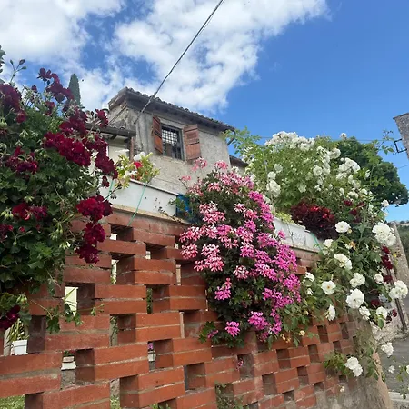 Apartman Athena Umbria *