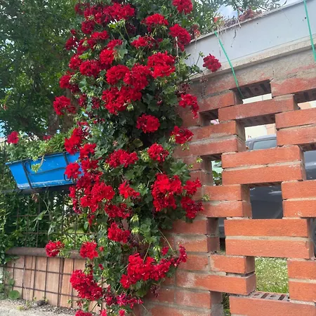 Athena Apartamento Campello sul Clitunno