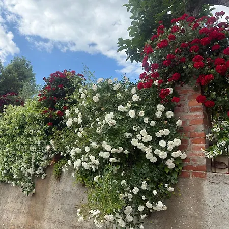 Athena Campello sul Clitunno