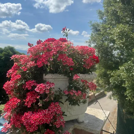 Athena * Campello sul Clitunno