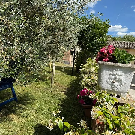 Athena Umbria * Campello sul Clitunno
