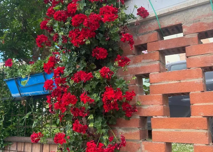 Athena Appartamento Campello sul Clitunno